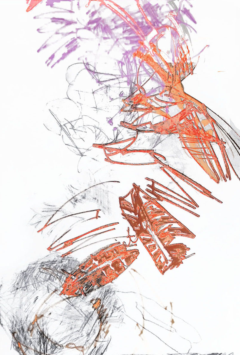 Grafit, Marker, 50 x 80 cm