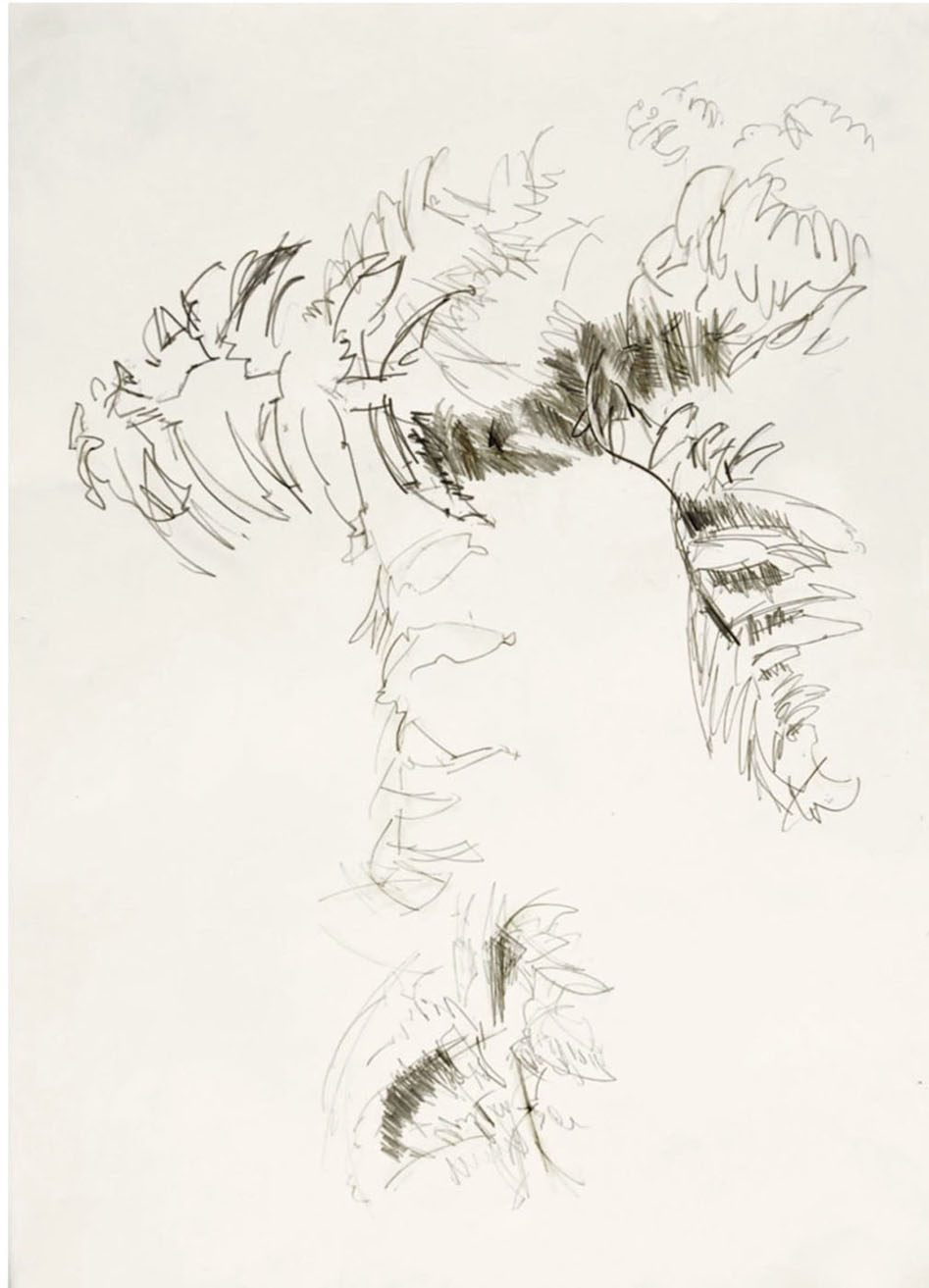 Farn groß, Grafit, 70 x 100 cm