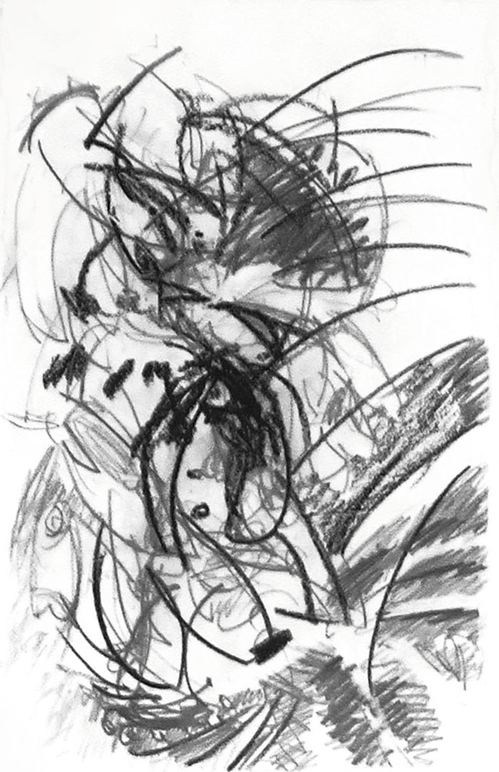 Pflanzlich, Grafit, 30 x 50 cm