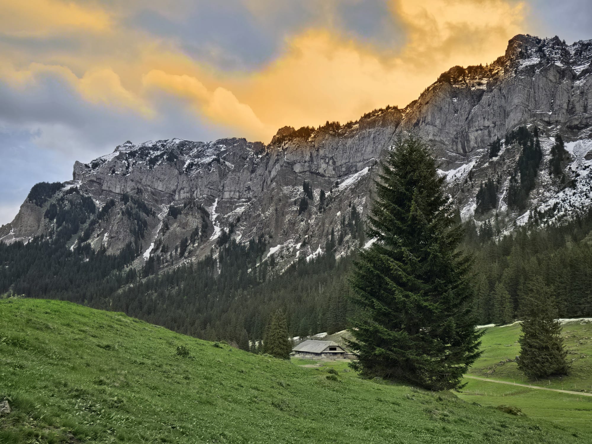 Abendwanderung