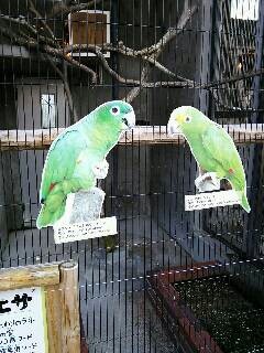 切り抜きもありました。飼育員さんの手作りでしょうか。