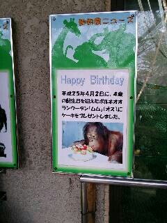 様々な掲示物がラミネート加工されていました