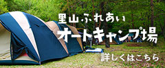www ibasato net
