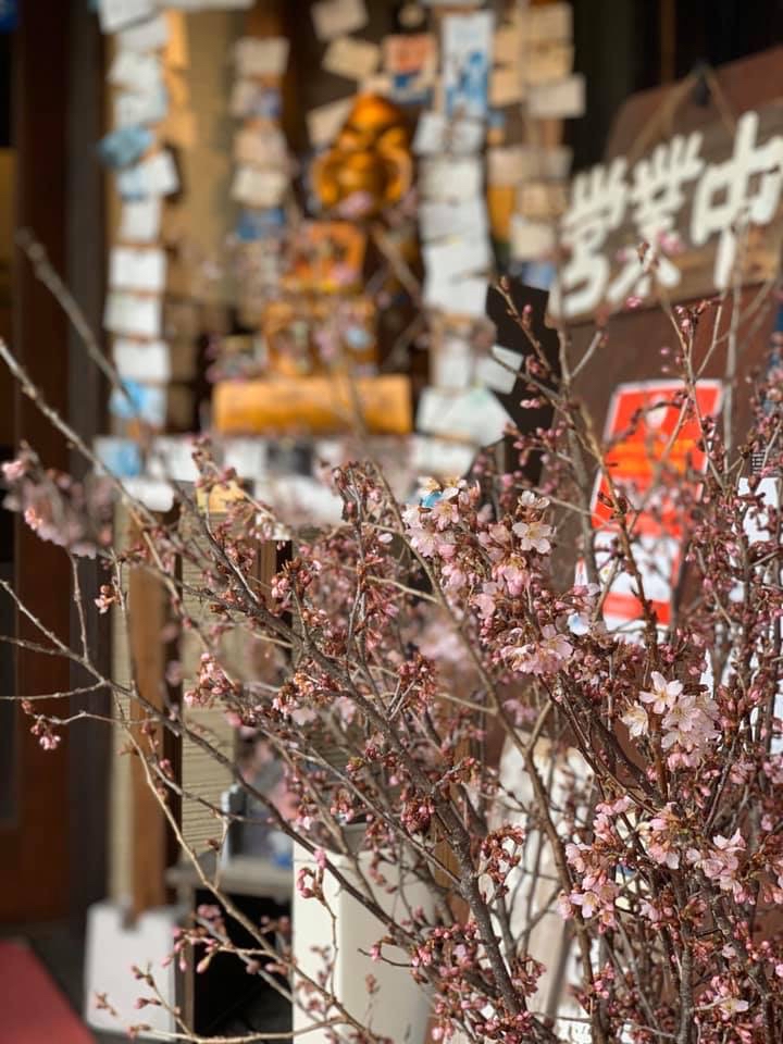 啓翁桜 けいおうざくら カレーの大原屋