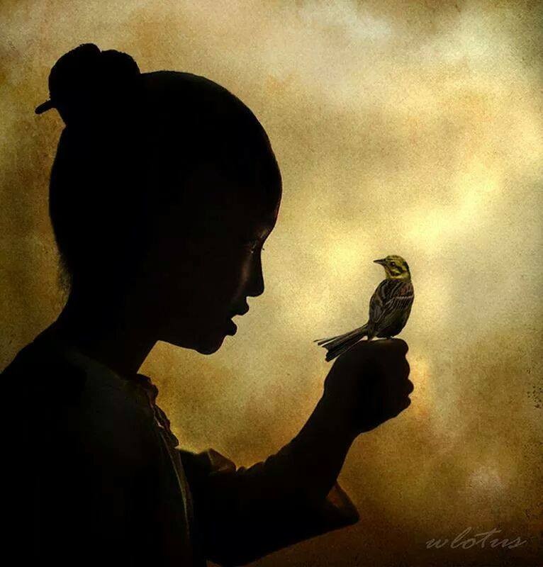 les femmes oiseaux Site de chasseursdereve les femmes oiseaux Site de chasseursdereve