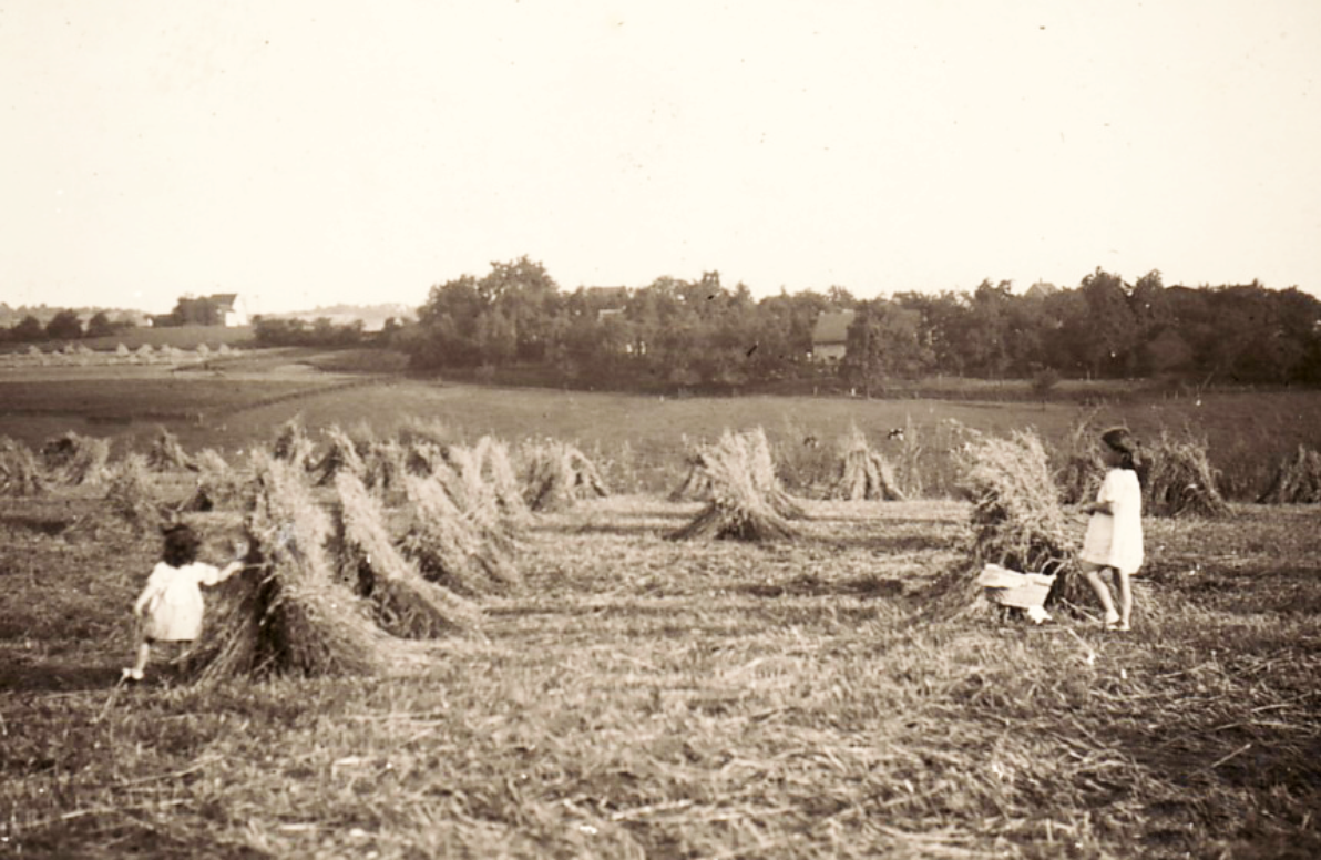 The view from the "Black House" - Bettina's parents' house in Solingen - of the wheat field directly in front of the property. Bettina and her sister Gabriele play there in the summer of 1939.