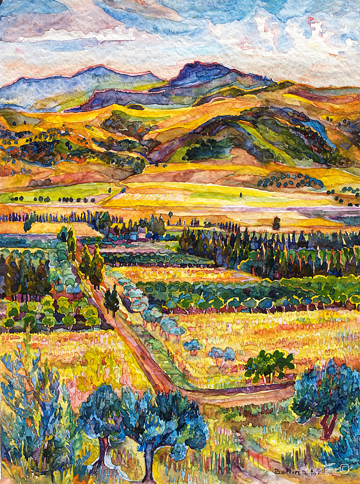 The Seybouse Valley in summer, 1990