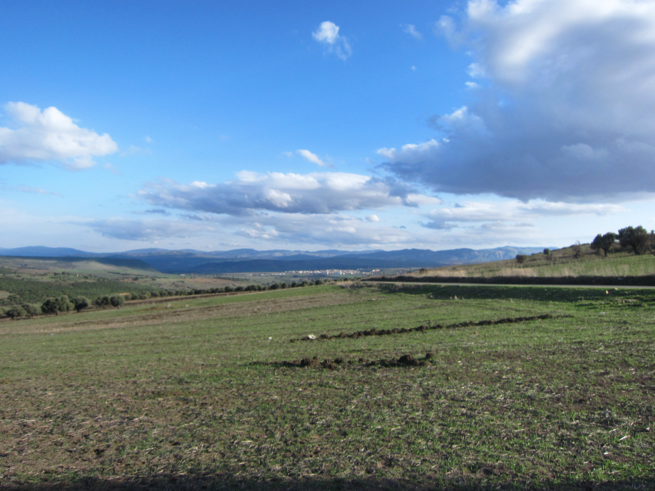 Impression from the Seybouse valley near Guelma