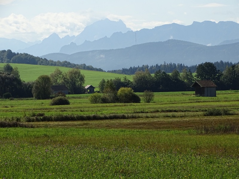 Wiesenbrütergebiet Haarmoos LBV Berchtesgadener Land Landschaftsschutzgebiet FFH Vogelschutz 