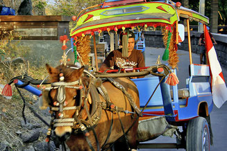 Cidomo or carriage, the transport on Gili Islands