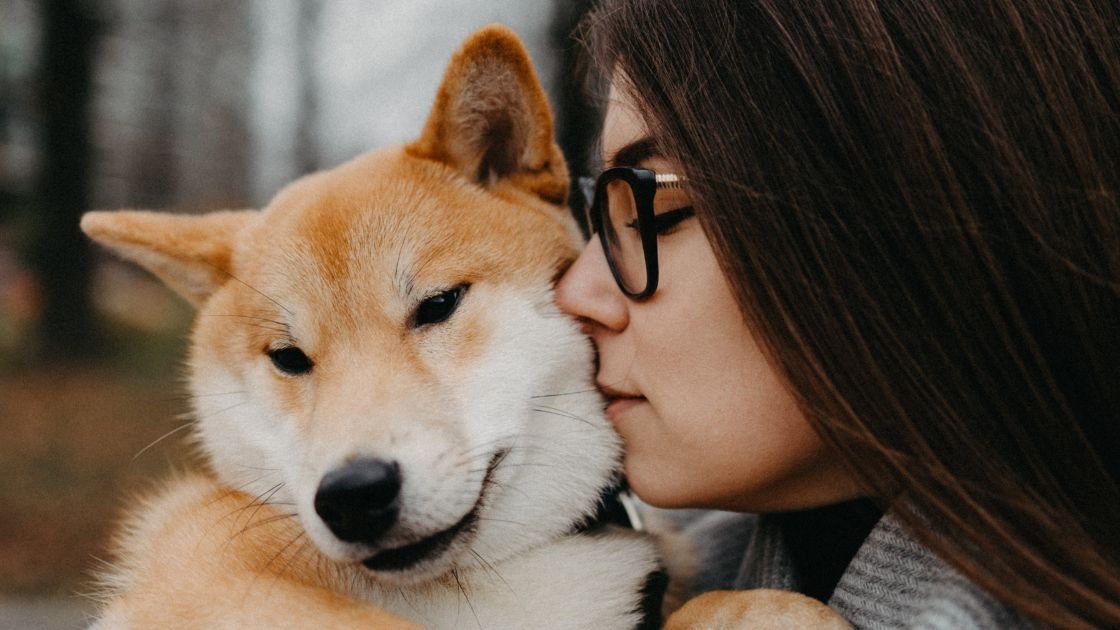 Tiere und Trauer: Wie wir den Abschied von unseren Vierbeinern verarbeiten