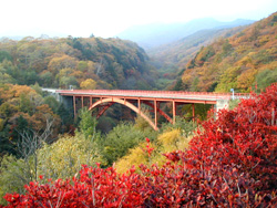 東沢大橋