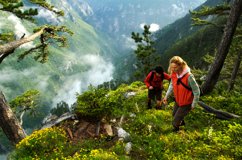 Tara hiking