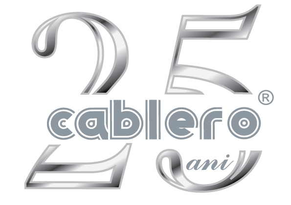 Anniversary logo design for steel wire rope manufacturer