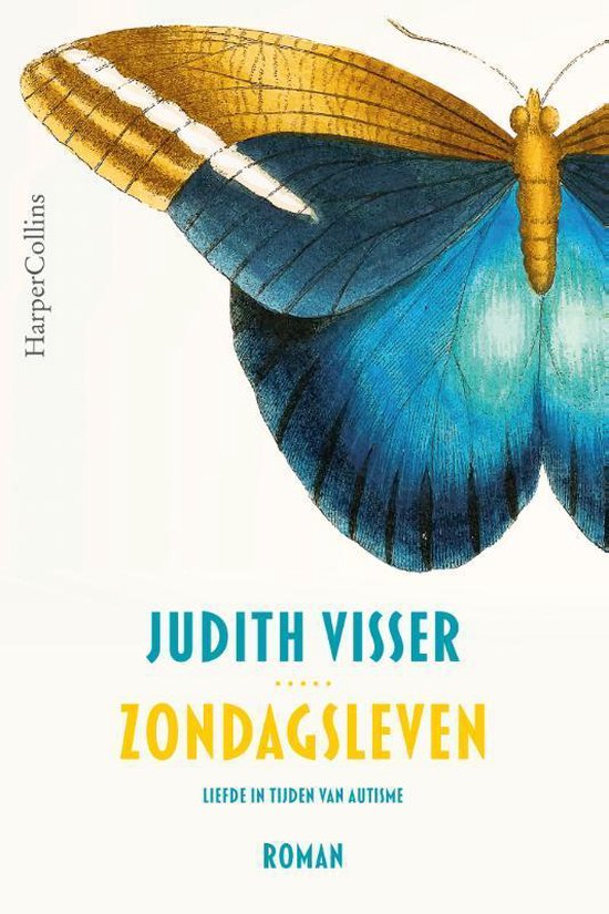 Review: Zondagsleven van Judith Visser.