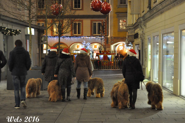 Weihnachtsmarkt 