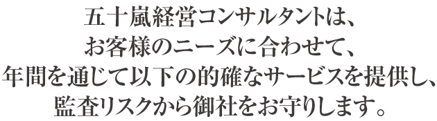 五十嵐経営コンサルタントは、 お客様のニーズに合わせて、 年間を通じて以下の的確なサービスを提供し、 監査リスクから御社をお守りします。
