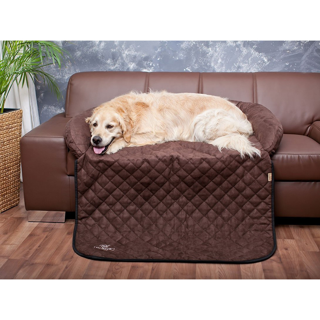 Sofaschutz Kratzschutz Hundematten Hundeshop Schnuffiknuffi Com