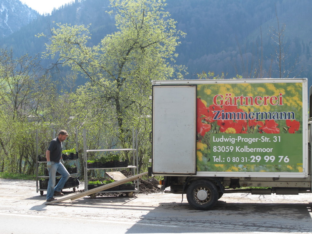 Die "Pflanzl" sind da!