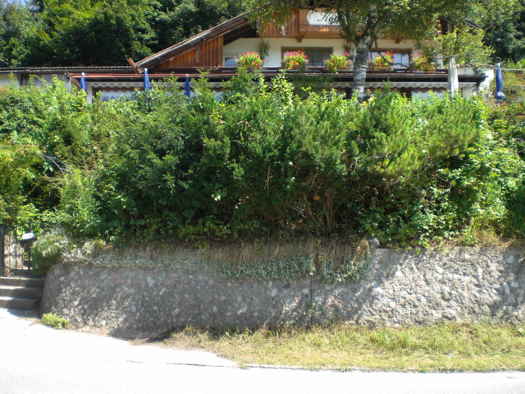 Das war einmal: Ein Haus versteckt sich im Grünen ...