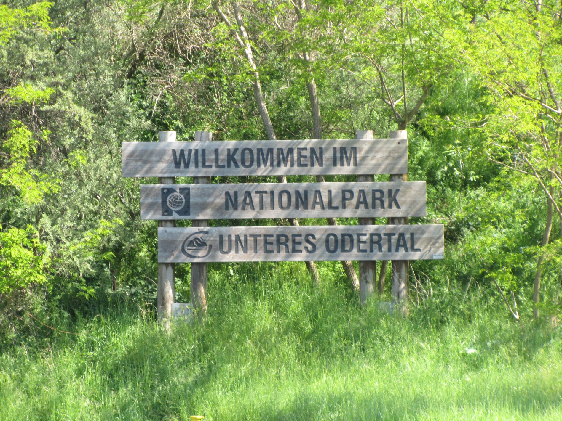 Nationalpark Unteres Odertal