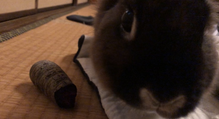 黒ニンジンが好きなポッポちん。