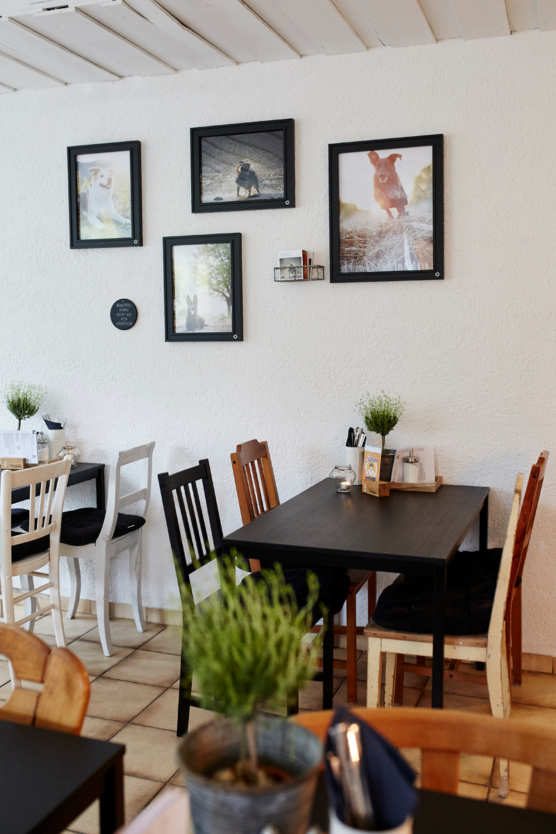 Tierfotograf Hundefotograf Pferdefotograf Fotostudio Lörrach Rheinfelden Freiburg Bad Säckingen Laufenburg Weil am Rhein Basel Bern Zürich