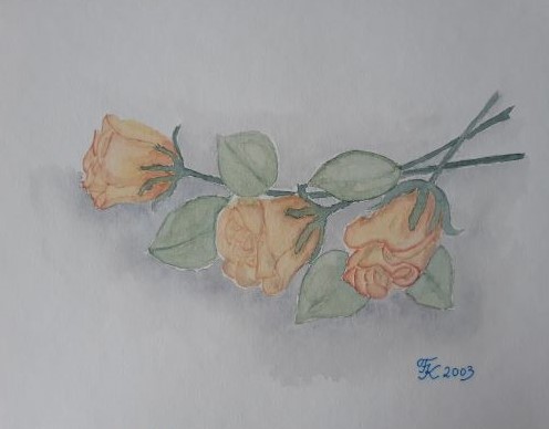 Rosen - 24x30 cm