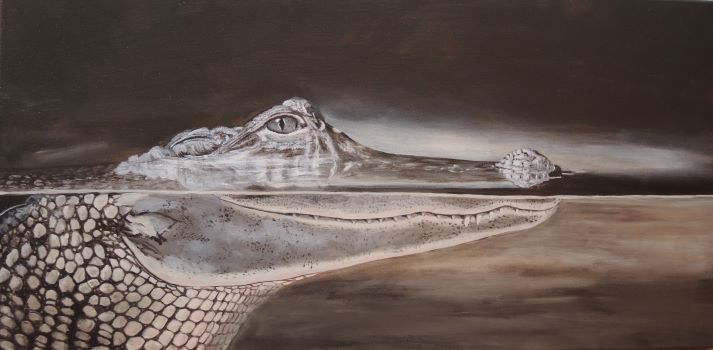 Krokodil - 40x80 cm