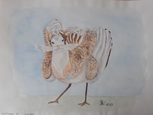 Großtrappe - 30x40 cm