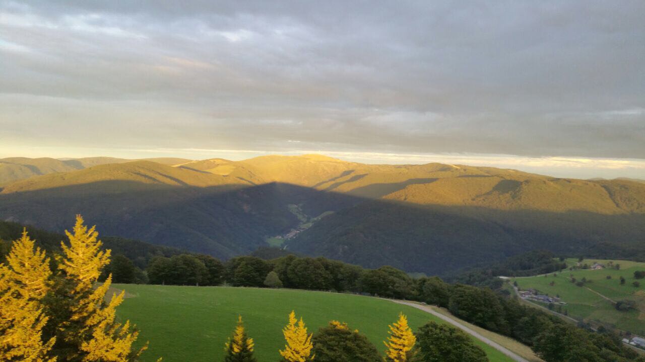 Diesen tollen Blick durften die Teilnehmer unserer Laufkurse nach ihren Anstrengungen genießen!