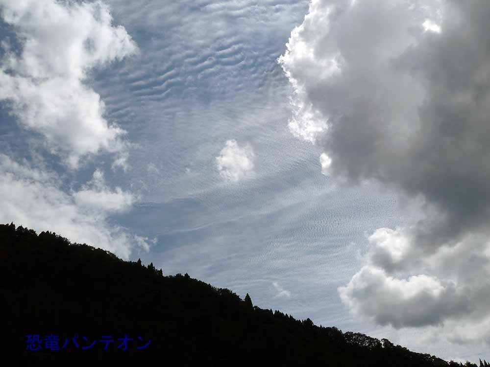 上空にはびっしりとうろこ雲