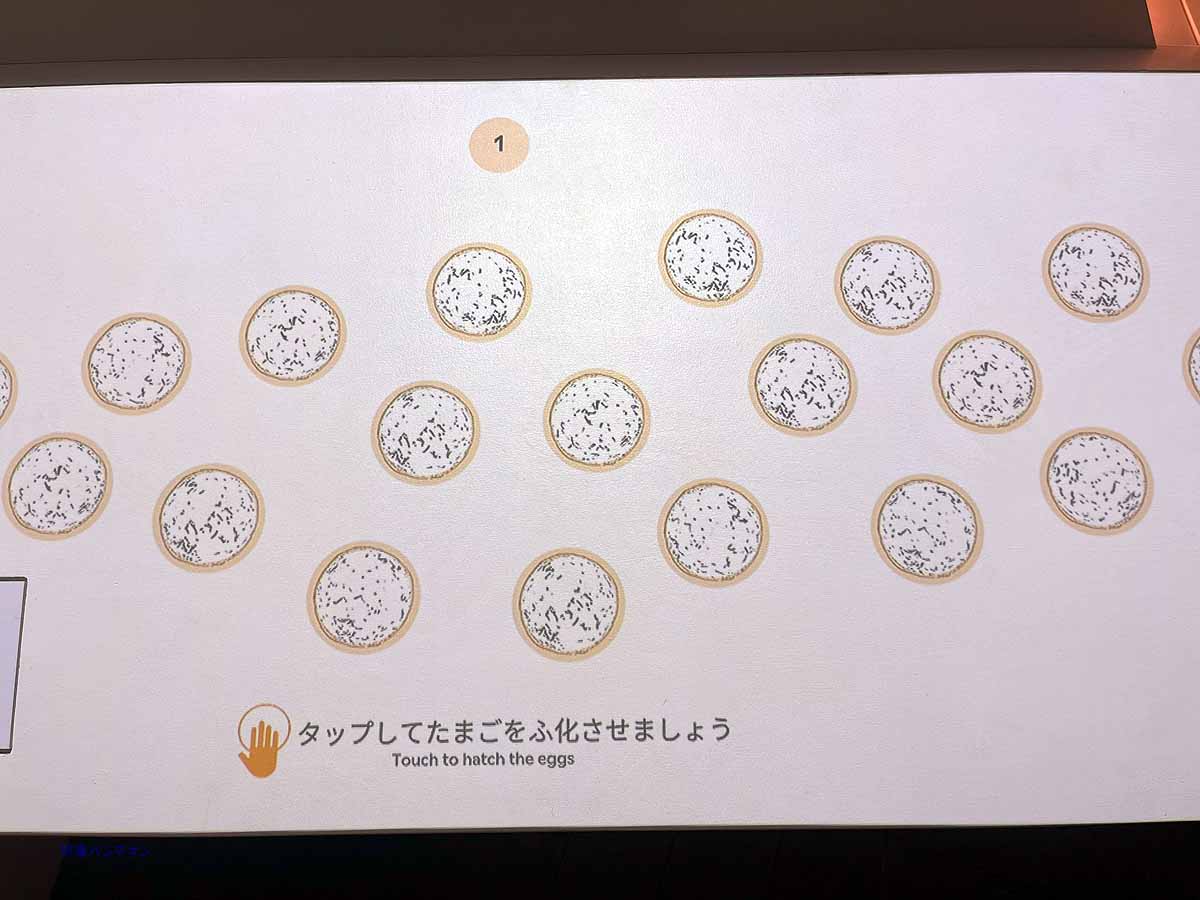 インタラクティブな展示　タッチすると卵が孵化
