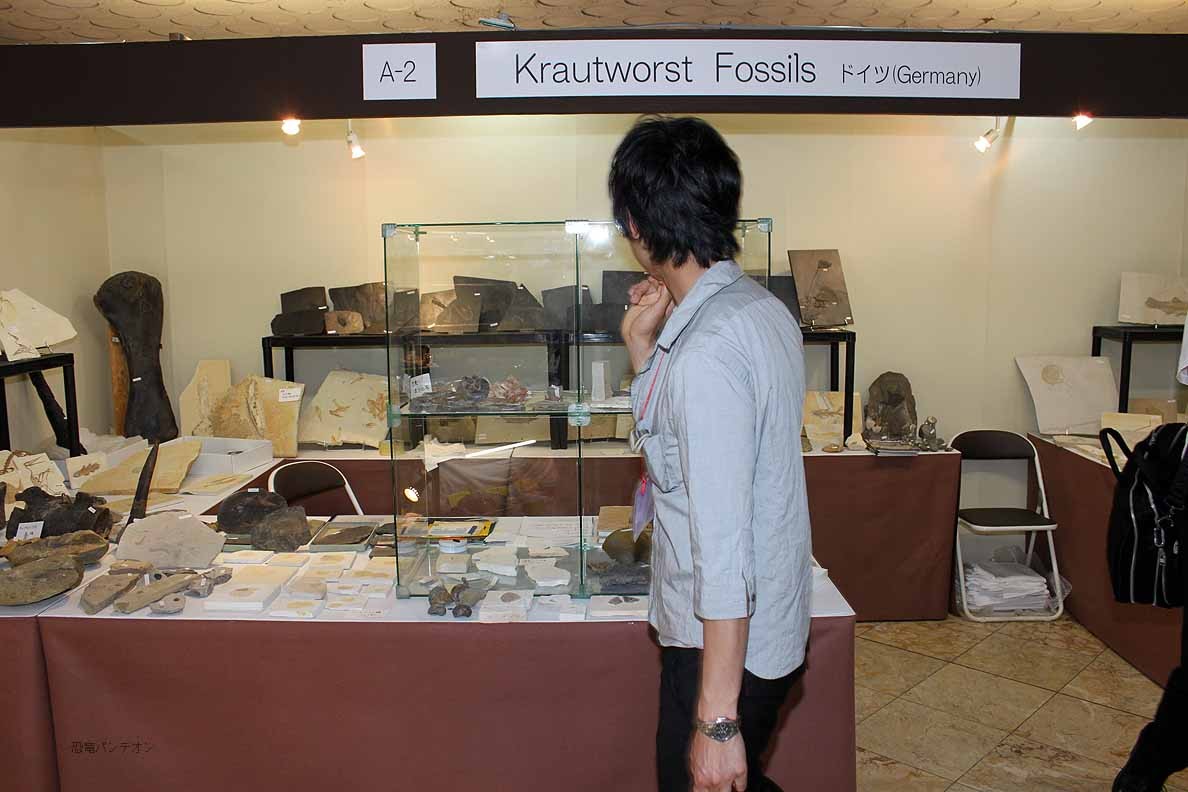 Krautworst Fossils A-2 ドイツのお店です。化石好きにとって、ここも定番。