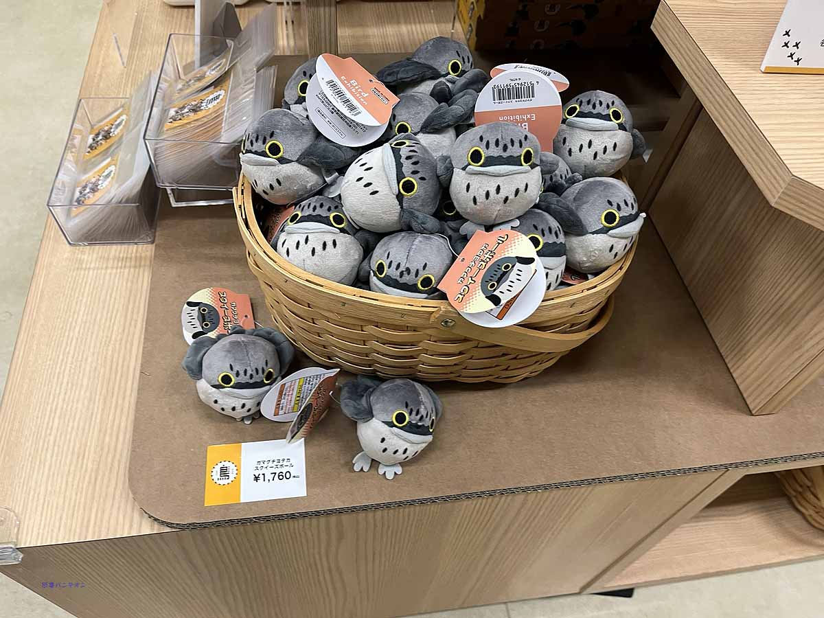 ガマグチヨタカ　スクイーズボールもかわいい