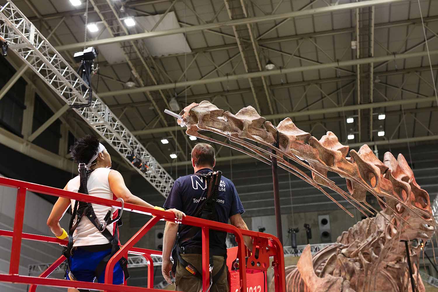 © Trustees of the Natural History Museum, London
