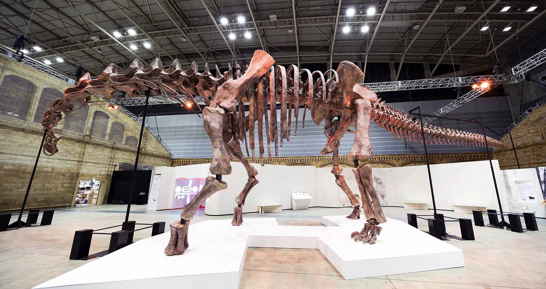 © Trustees of the Natural History Museum, London
