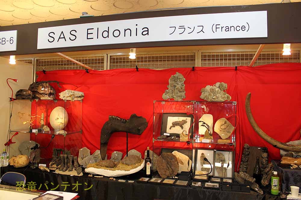 SAS ELDONIA フランスのお店です。ここも名物店になりましたね。
