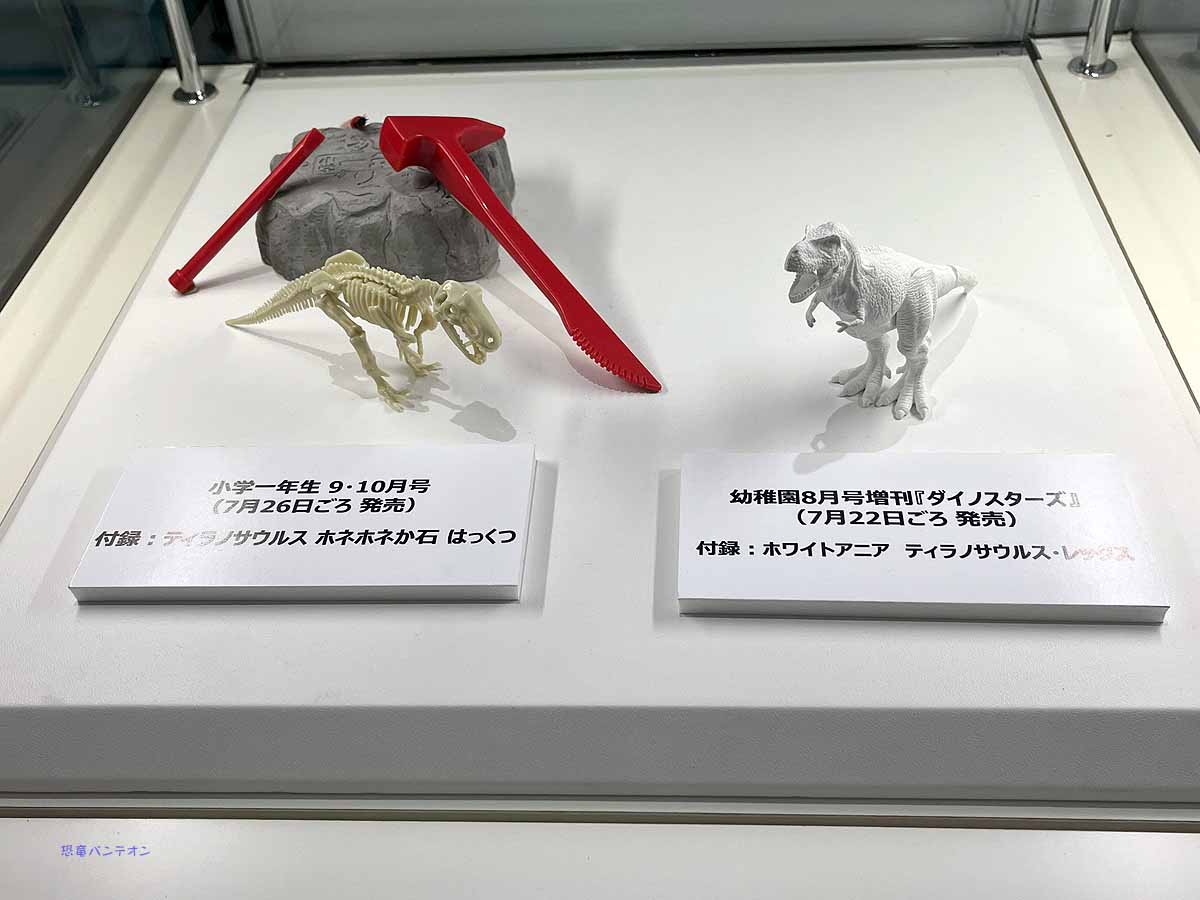 こんな付録がつく！