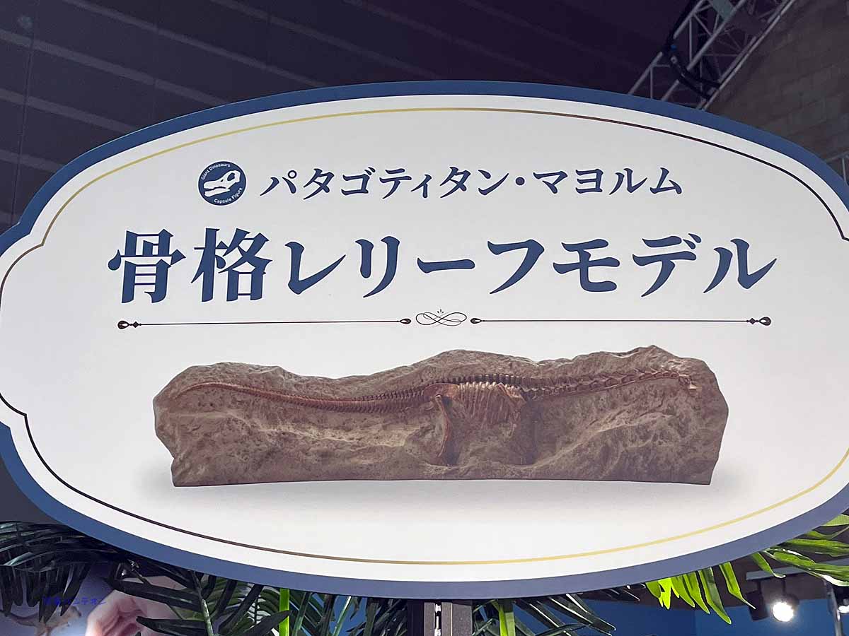 海洋堂 高知　原型制作　吉良かずや パタゴティタン・マヨルム 骨格レリーフモデル