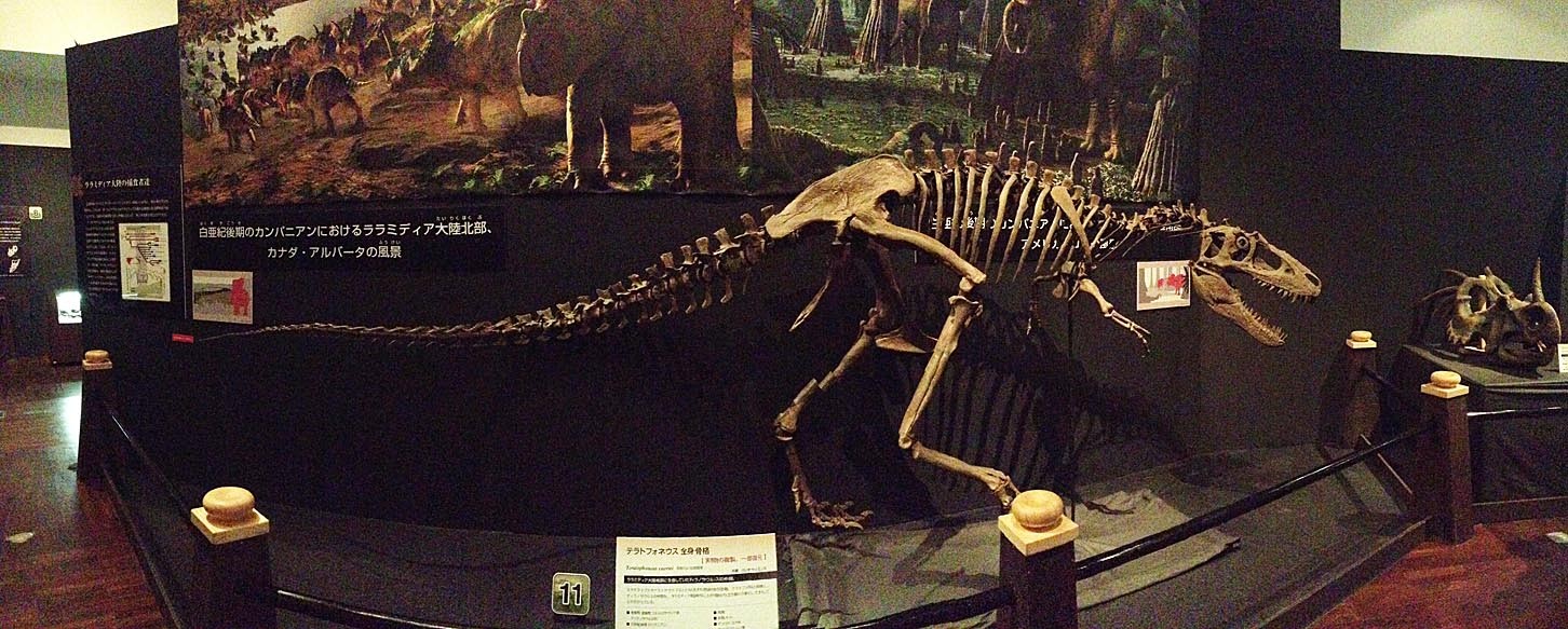カンパニアンのユタに生息していた肉食恐竜、テラトフォネウス Teratophoneus