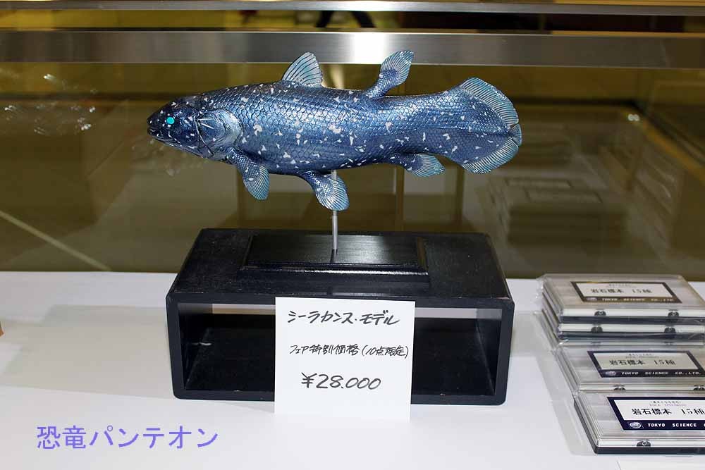 第二会場展示