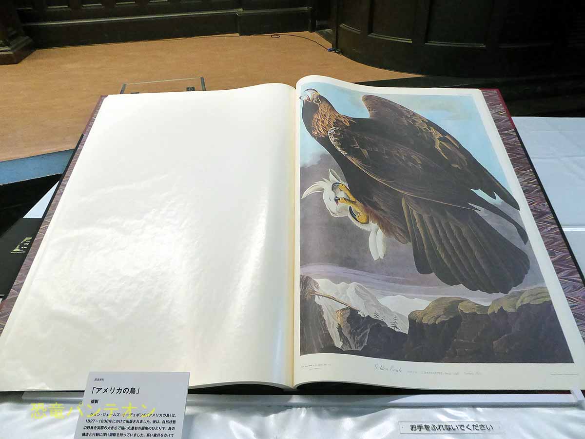 オーヂュボン「アメリカの鳥」複製本　雄松堂書店