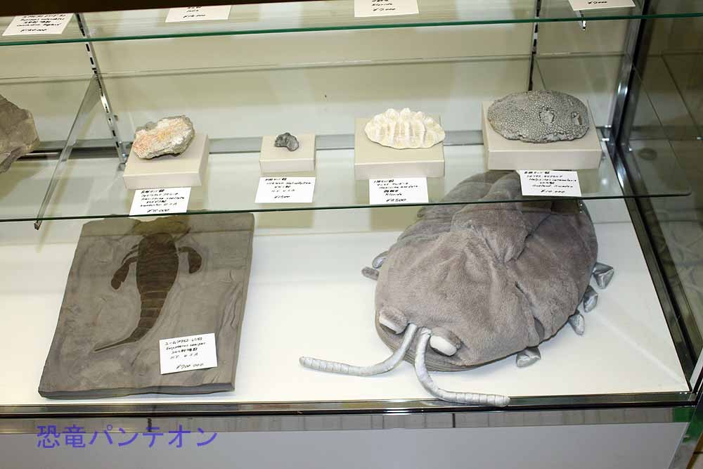 第二会場展示