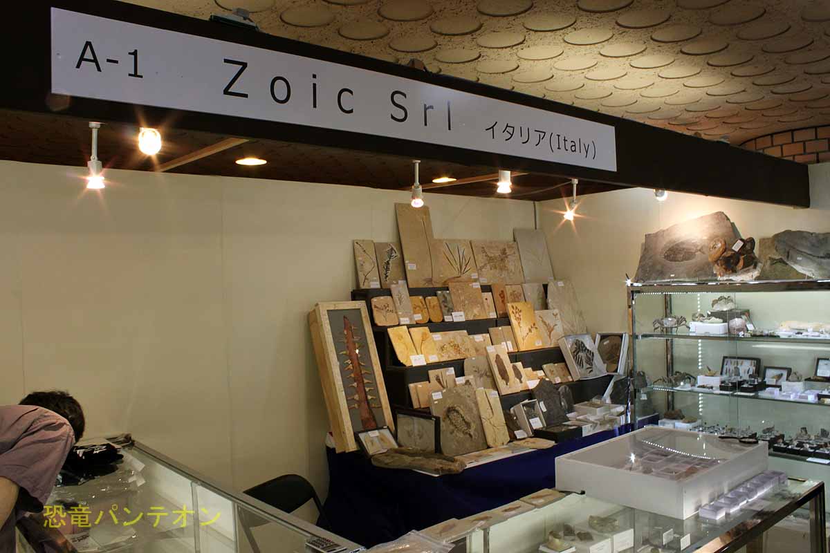 Zoic Srl の店構え