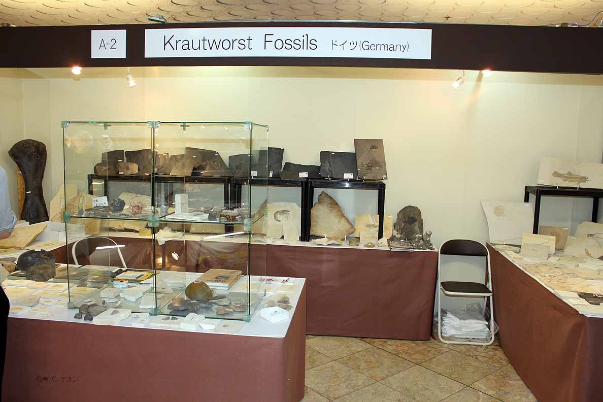 Krautworst Fossils