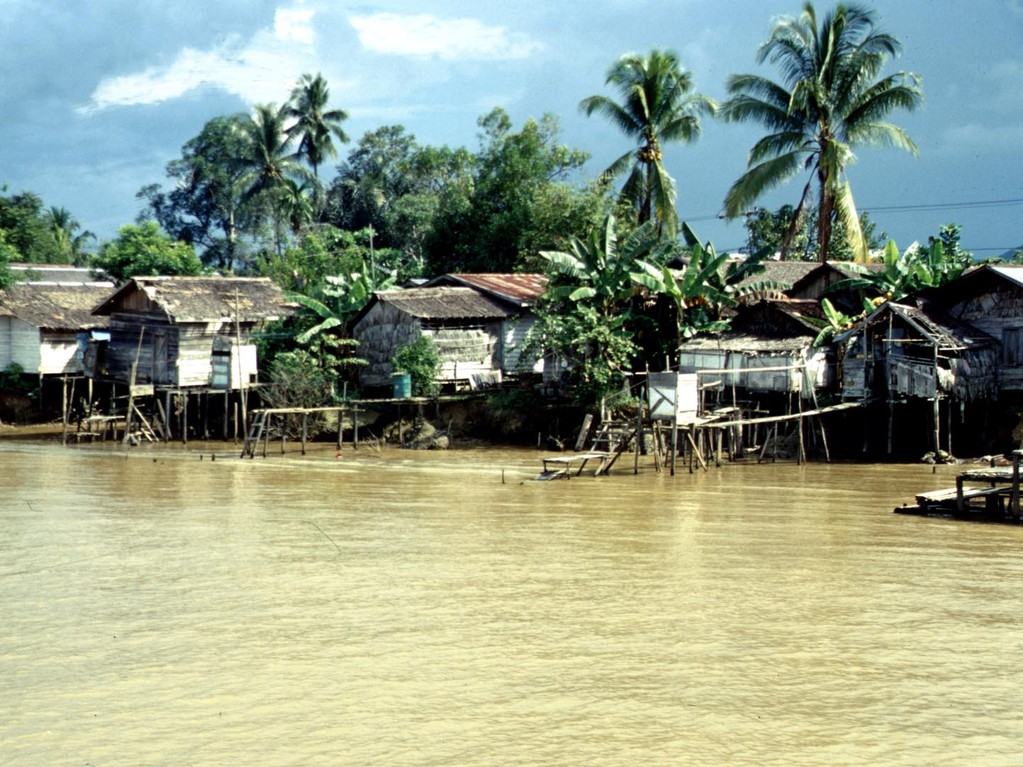 Die Häuser sind meistens auf Pfähle gebaut, da der Mahakam bei Hochwasser bis zu vier Meter steigt.