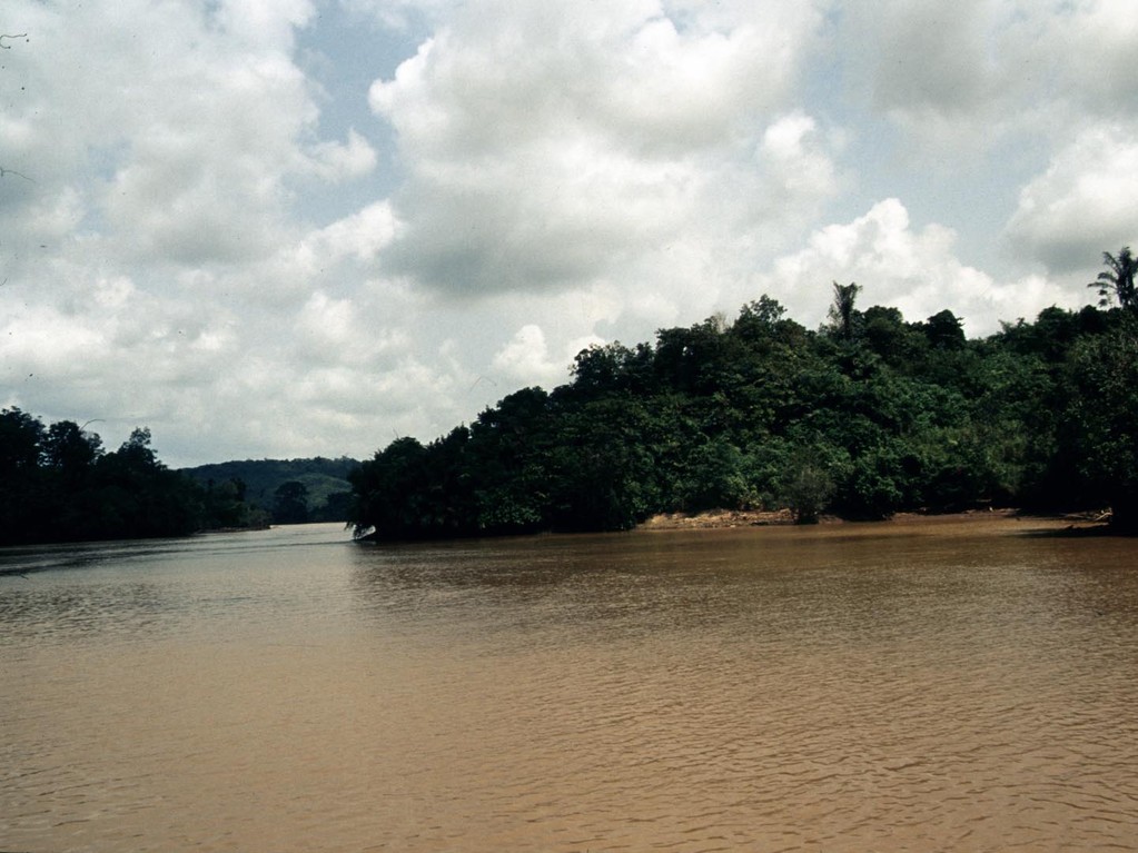 Der Mahakam ist ein Weißwasserfluss, wird aber auch von Schwarzwasserflüssen aus Moorseen gespeist.