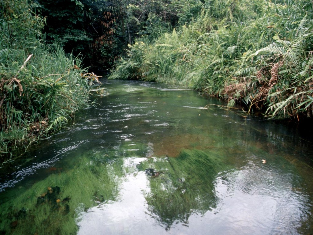 An diesem Klarwasserbach wuschen die Einheimischen ihre Wäsche.