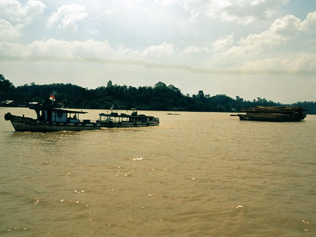 Diese Holztransportschiffe fahren bis nach Samarinda ins Mahakam-Delta, wo die großen Ozeanriesen warten und das Holz nach Japan weitertransportieren.
